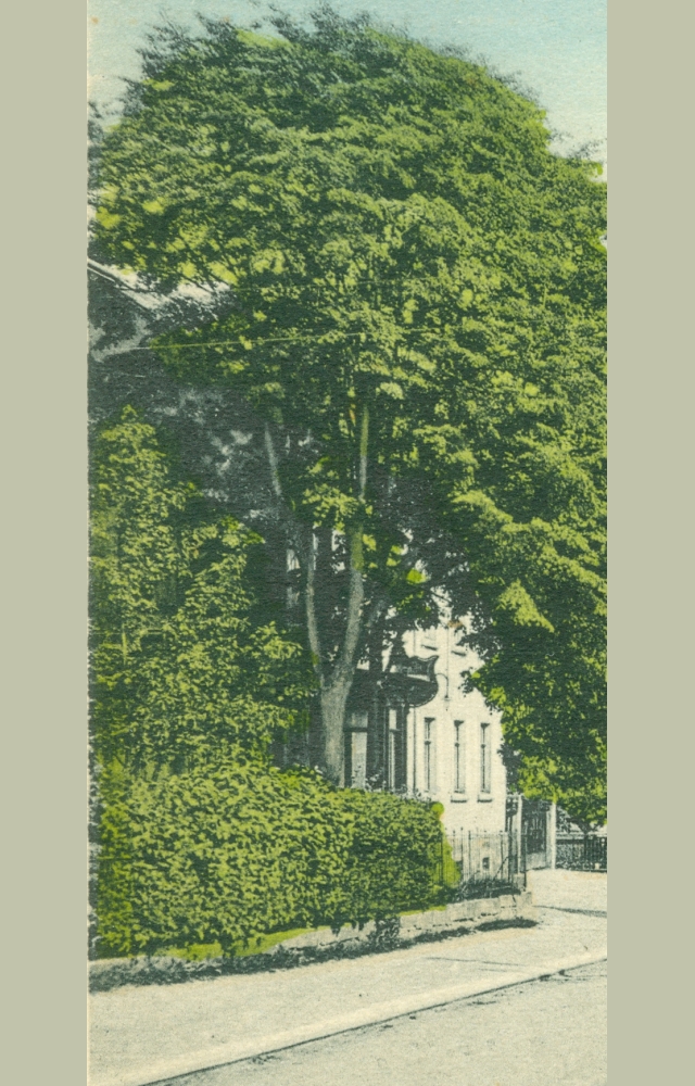 Dr. Rudolf-Friedrichs-Stra&szlig;e 10 (bis 1920 Lotzdorf 58I, 1920 - 1927 Friedrich-Stra&szlig;e 10, 1927 - 1945 Friedrichstra&szlig;e 10)  Radeberg