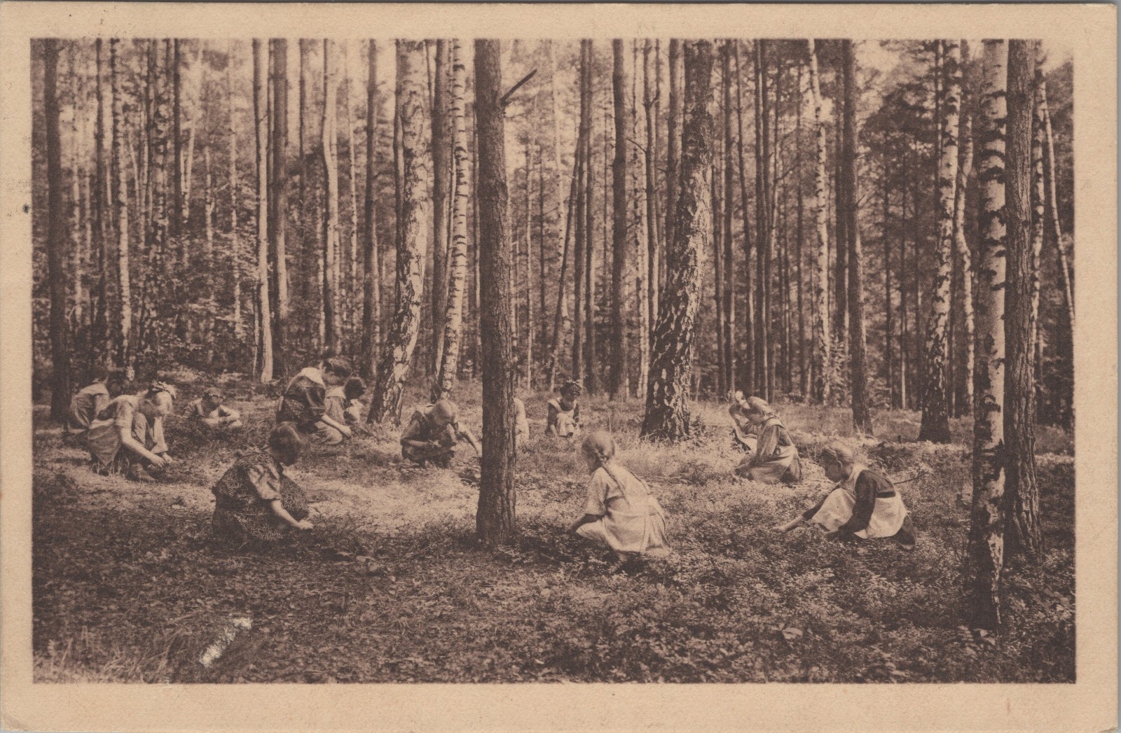 Sch&ouml;ne H&ouml;he 3  Radeberg