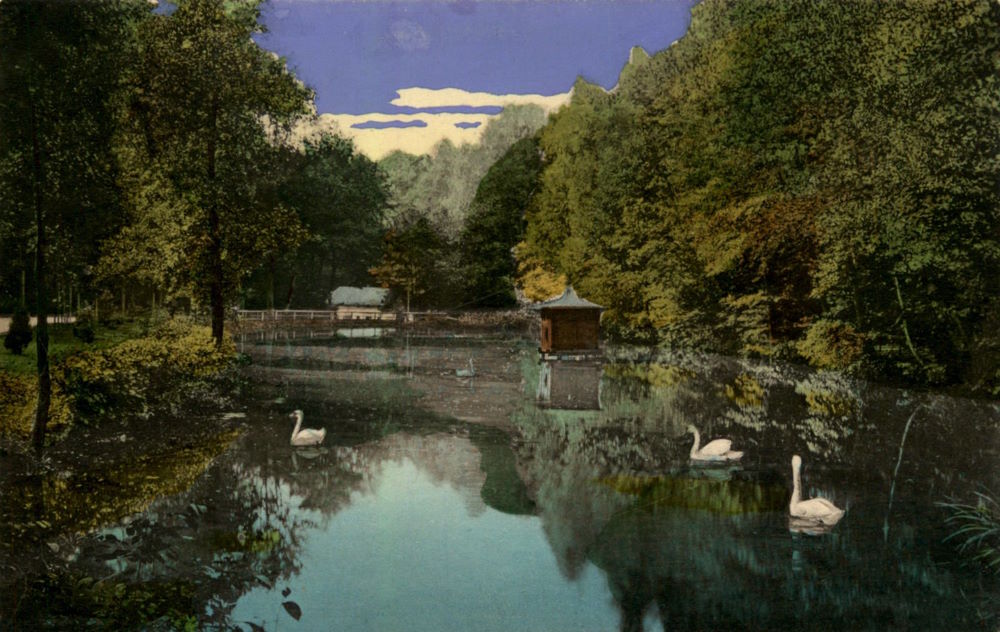 Schwanenweg  Radeberg
