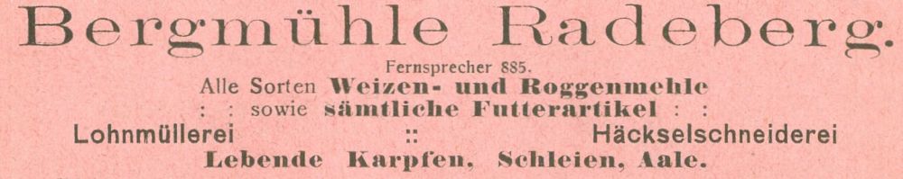 Wasserstra&szlig;e 11 (1787 HNr. 15B)  Radeberg